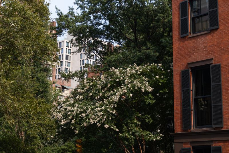 green trees and beautiful residential buildings in gramercy park of new york city