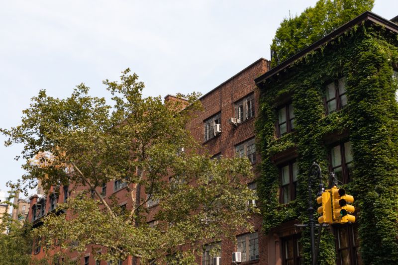 row of old brick residential buildings with green trees and ivy in gramercy park